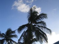 barbados 021